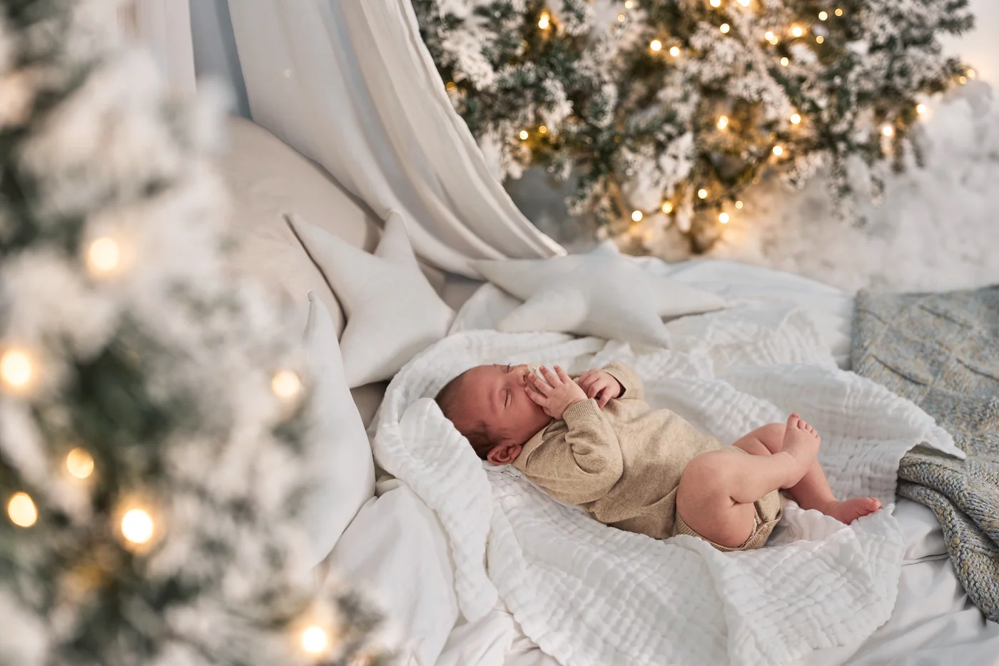 A newborn baby asleep on a white blanket in a canopy bed, lit frosted trees behind