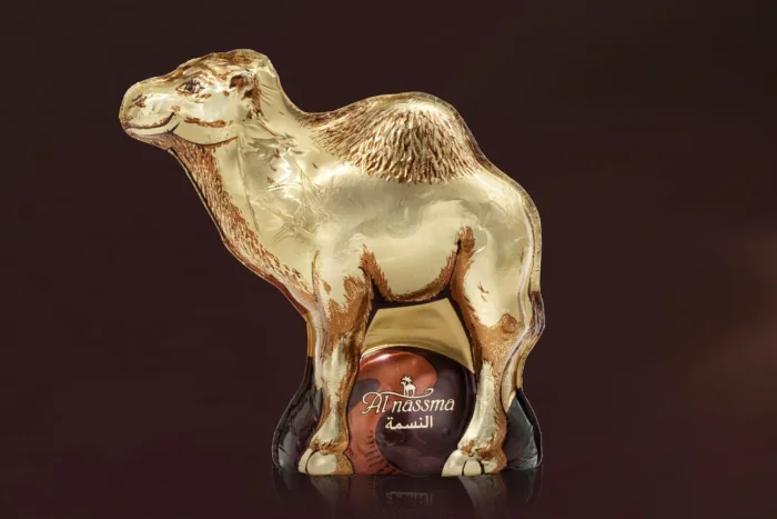 A gold-wrapped chocolate camel on a chocolate base against a dark brown background