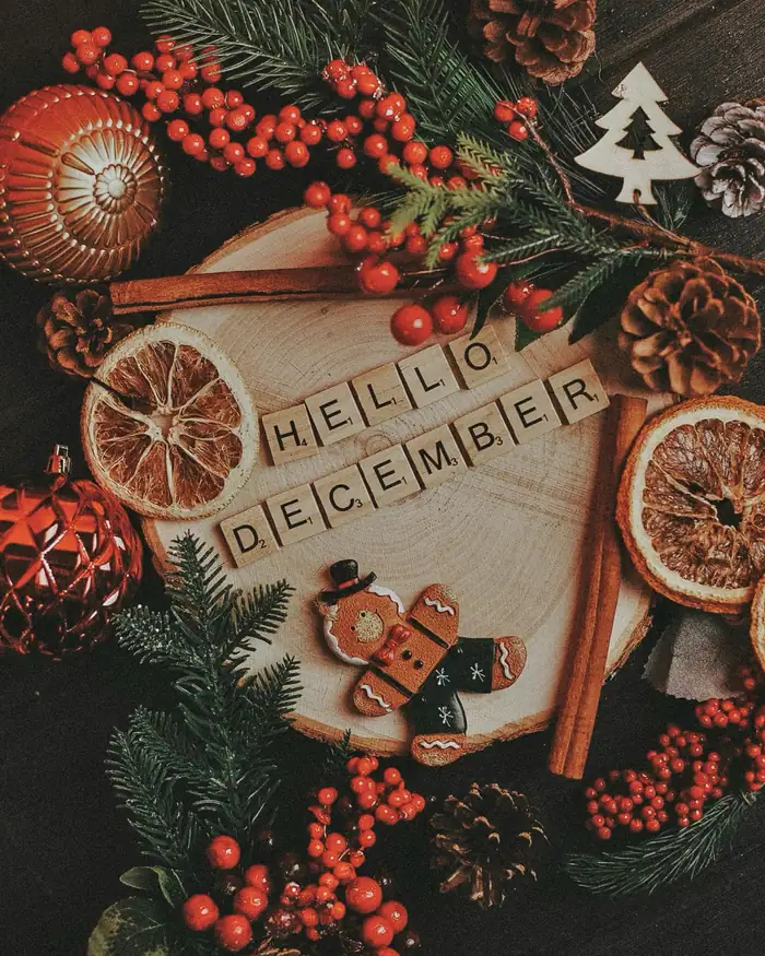 Letter tiles spelling Hello December on a slice of wood, among pine, red berries, pine cones, dried orange and a gingerbread figure